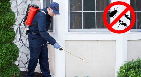 Bodrum Akrep İlaçlama böcek ilaçlama ve haşere kontrolü — ilaclama-tr.com